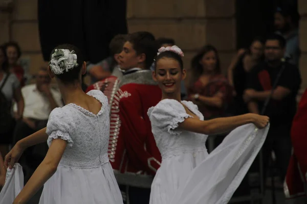 Bir Sokak Festivalinde Polonya Dansı Sergisi — Stok fotoğraf