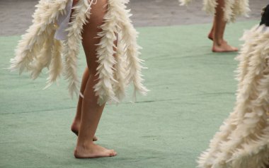 Güney Denizleri Halk Festivali 'nde dans ediyor