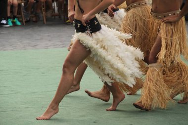 Güney Denizleri Halk Festivali 'nde dans ediyor