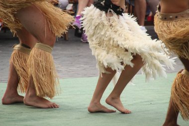 Güney Denizleri Halk Festivali 'nde dans ediyor