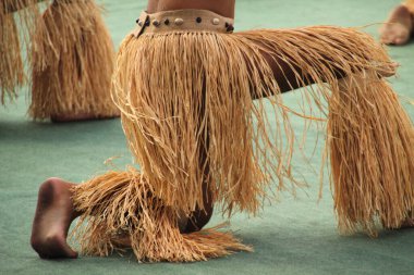 Güney Denizleri Halk Festivali 'nde dans ediyor