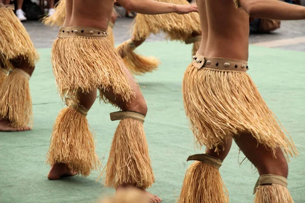 Les Mers Sud Dansent Dans Festival Street Folk — Photo