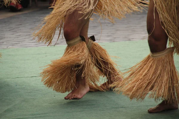 Les Mers Sud Dansent Dans Festival Street Folk — Photo