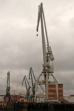 Bilbao nehrinde turnalar