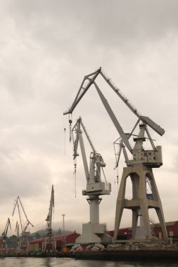 Bilbao nehrinde turnalar