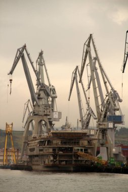 Bilbao nehrinde turnalar