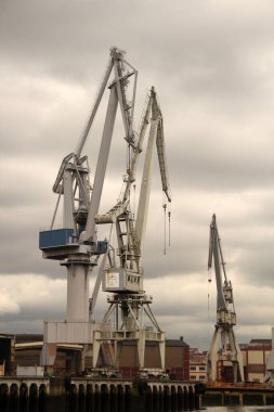 Bilbao nehrinde turnalar