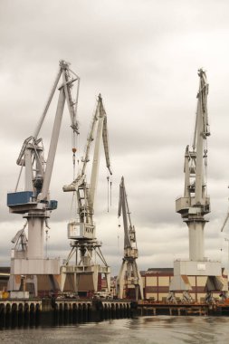 Bilbao nehrinde turnalar