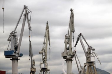 Bilbao nehrinde turnalar