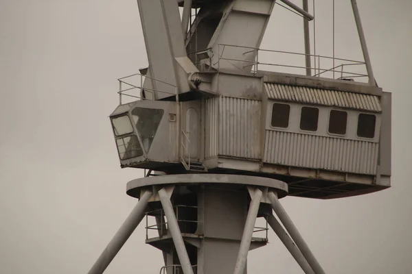 Grues Dans Estuaire Bilbao — Photo