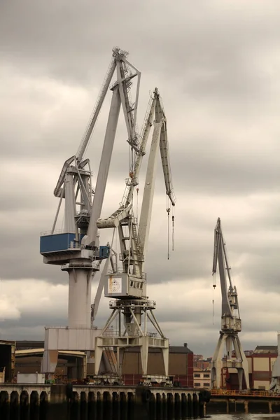 Bilbao nehrinde turnalar