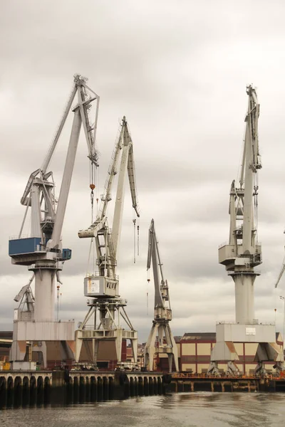 Bilbao nehrinde turnalar