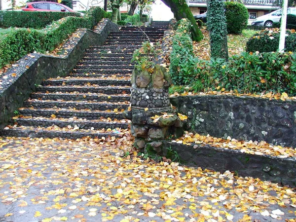 Cores Outono Floresta — Fotografia de Stock