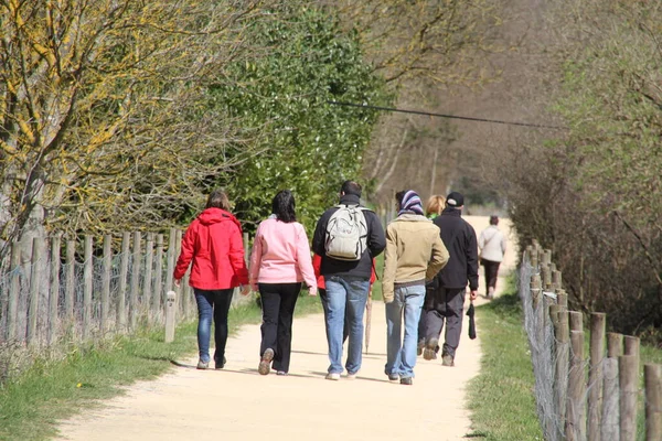 Randonnées Pédestres Campagne — Photo