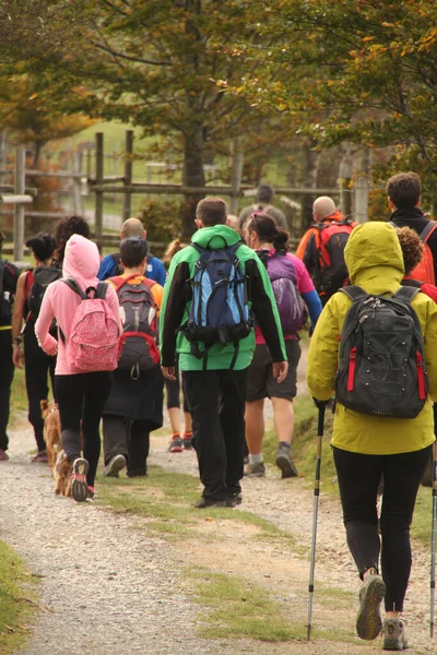 People hiking in the countryside