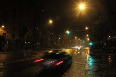 Mutlu köpek gündüz vakti