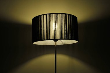 Modern lamba bir odada