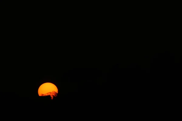 Atardecer Día Verano — Foto de Stock