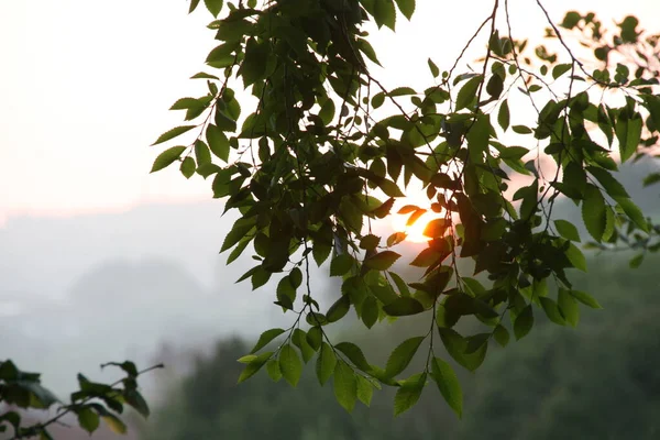 夏の日の夕暮れ — ストック写真