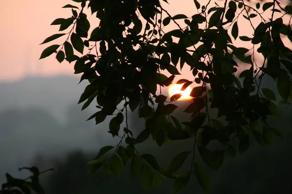 Atardecer Día Verano — Foto de Stock