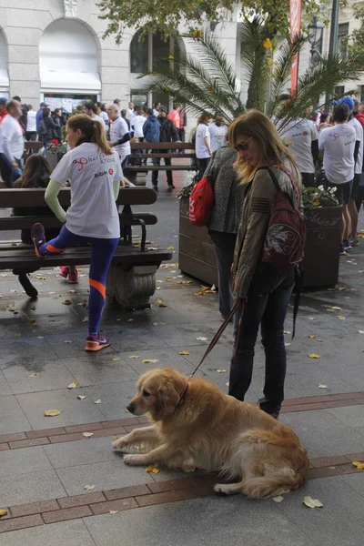 Bilbao Sokaklarında Halk Yarışı — Stok fotoğraf