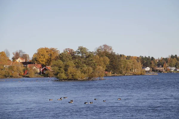 Utsikt Över Sjö Sverige — Stockfoto