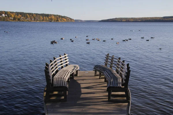 Vista Lago Suecia —  Fotos de Stock