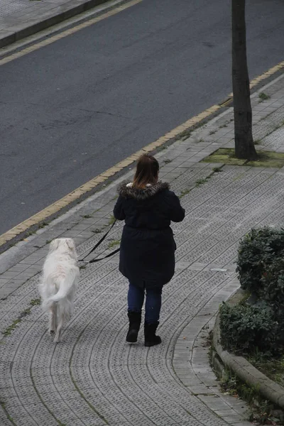 Persone Che Camminano Strada — Foto Stock