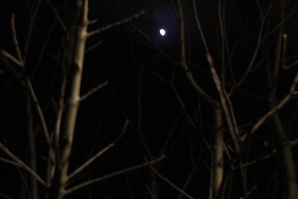 Вид Луну Ночью — стоковое фото