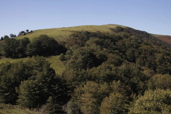 Paesaggio Campagna — Foto Stock