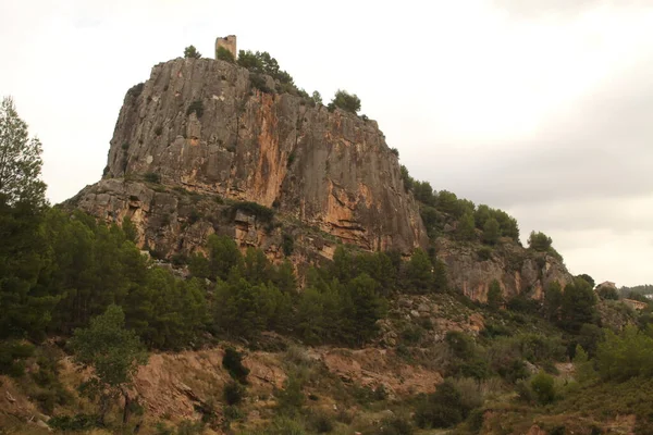 Paisaje Campo — Foto de Stock