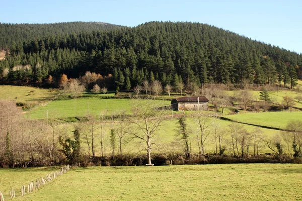 Paisaje Campo —  Fotos de Stock