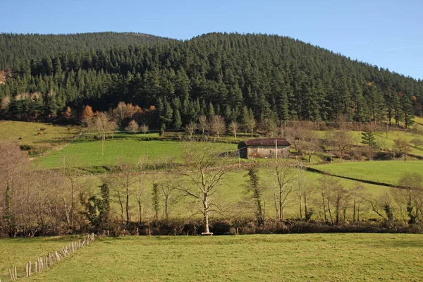 Paisaje Campo —  Fotos de Stock