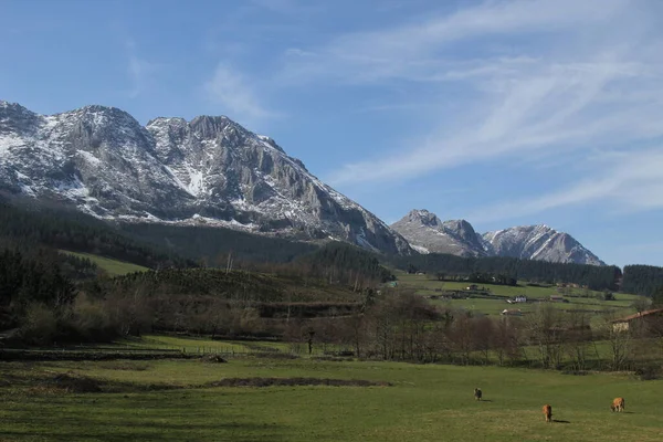 Paisagem Campo — Fotografia de Stock