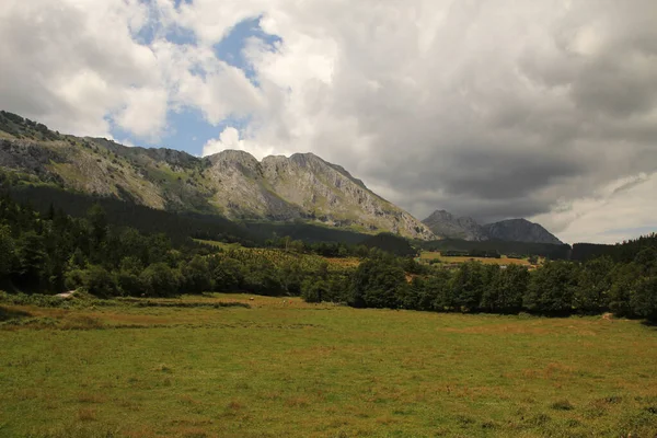 Paesaggio Campagna — Foto Stock