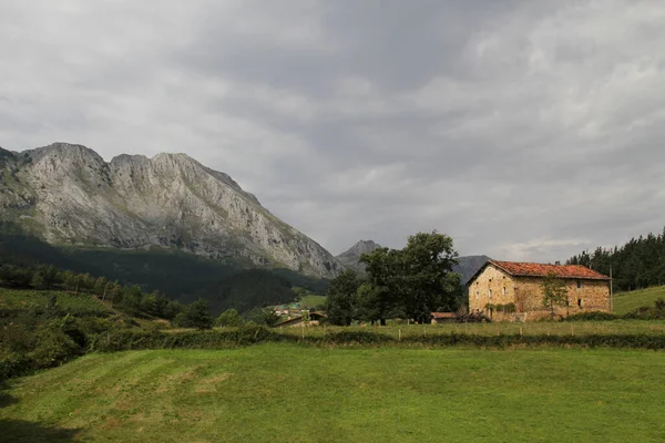 Paesaggio Campagna — Foto Stock