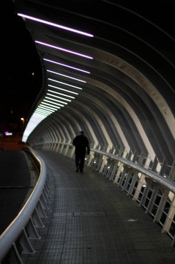 Bilbao şehrinin metropolitan bölgesinde inşa ediliyor.