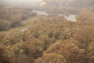Slovakya ile Avusturya arasındaki sınırda Tuna Nehri manzarası