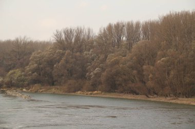 Slovakya ile Avusturya arasındaki sınırda Tuna Nehri manzarası