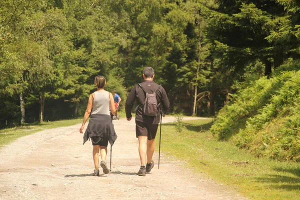 Wandelen Het Platteland — Stockfoto