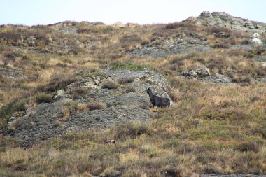 Bask ülkesinin dağlarındaki manzara