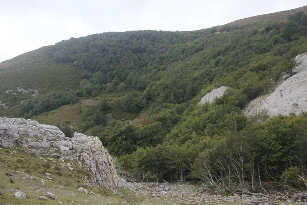 Landschaft Den Bergen Des Baskenlandes — Stockfoto