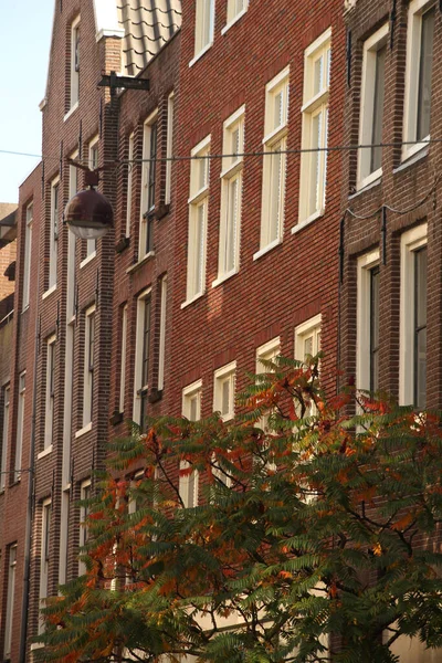 Amsterdam Şehir Merkezi Manzarası — Stok fotoğraf