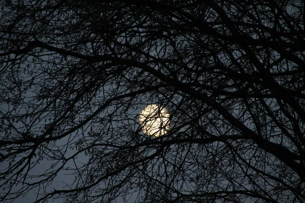 Вид Місяць Вночі — стокове фото