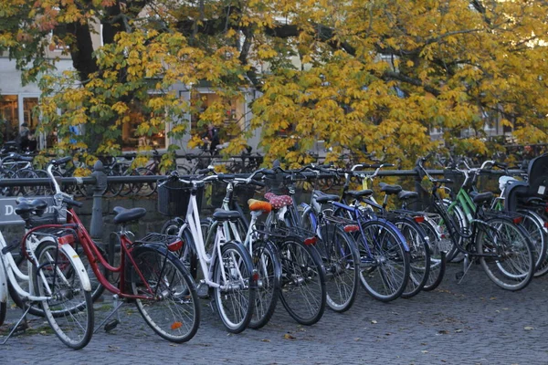 Jazda Rowerze Środowisku Miejskim — Zdjęcie stockowe