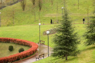 Bir bahar gününde şehir parkı