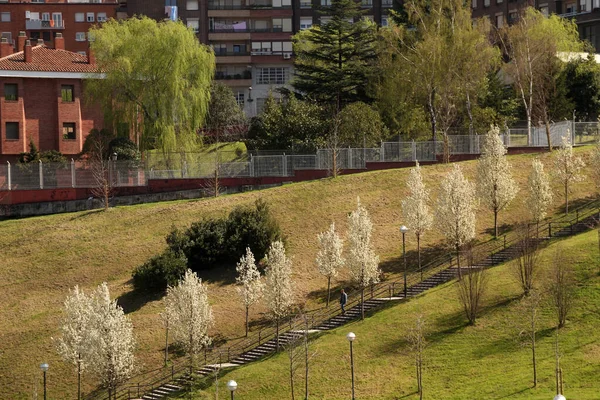 Městský Park Jarního Dne — Stock fotografie