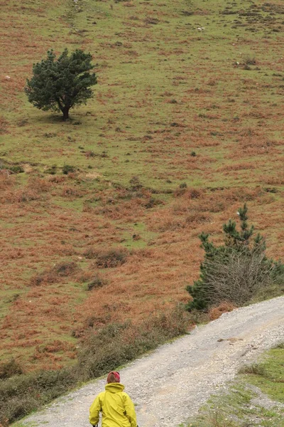 Hiking in the countryside