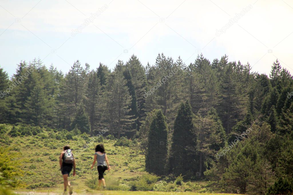 Hiking in the countryside