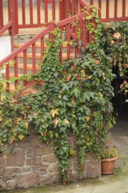 Fransa 'nın güneyindeki tipik Bask evi.